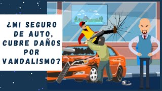 ¿Mi seguro de auto, cubre daños por vandalismo?