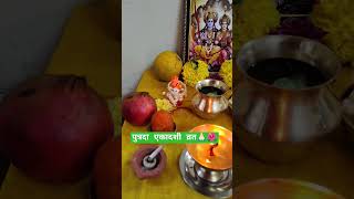 पुत्रदा एकादशी व्रत #shortsvideo #पुत्रदाएकादशी #shorts #viralvideo #vrat #ekadashi #bhajan  #2024