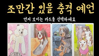 [타로] 기막히게 정확한 곧 당신에게 일어날 일, 진심으로 기원합니다🙏🏻