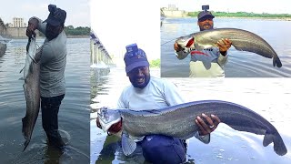 Amazing Big pathan fishing | Big Wallago catfish Fishing | Unique fishing