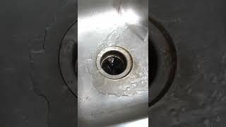 How To Fix A Garbage Disposal Shorts