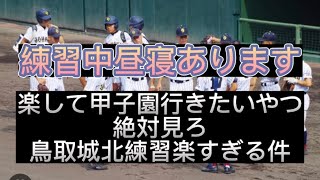 【高校野球】【甲子園ボーイ出演】鳥取城北の練習が楽勝すぎる件#野球 #高校野球 #甲子園