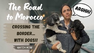 Crossing Moroccan Borders… with the dogs!!