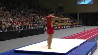 2015 Tumbling World Championships (Male)