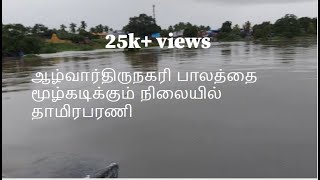 தாமிரபரணி ஆறு வெள்ளம் ¦ ஆழ்வார்திருநகரி பாலம் மூழ்கும் நிலை¦ #Thamiraparani River ¦ #தாமிரபரணி#alwar