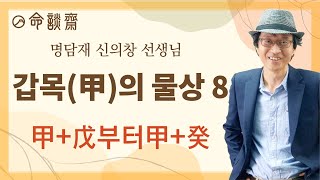 격물론8강 갑목(甲木)의 물상 甲+戊~甲+癸(명담재 신의창선생님)