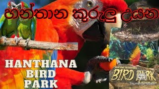 හන්තාන කුරුලු උයන/Hanthana Bird Park/Around of sri lanka