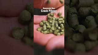 Brewing a Czech Pilsner #homebrewing #czechpilsner #ryanmichaelcarter