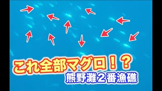 浮漁礁の魚影が凄すぎた！！水族館でしか見れないあの巨大魚も登場！？