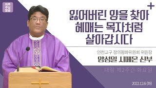 [하루 주님 말씀] 2022년 12월 6일 대림 제2주간 화요일 매일미사ㅣ양성일 시메온 신부의 오늘의 복음\u0026강론