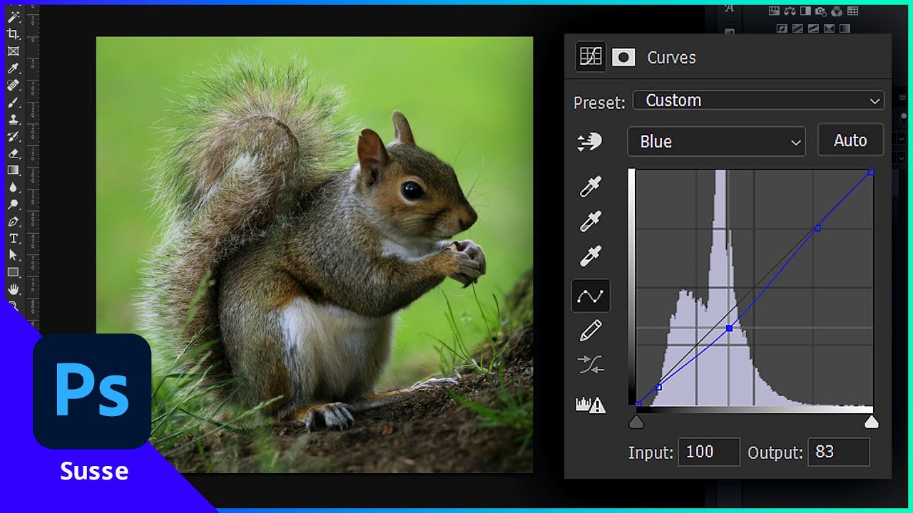 COMO USAR AS CURVAS | 6.4 | Curso Photoshop Susse - YouTube