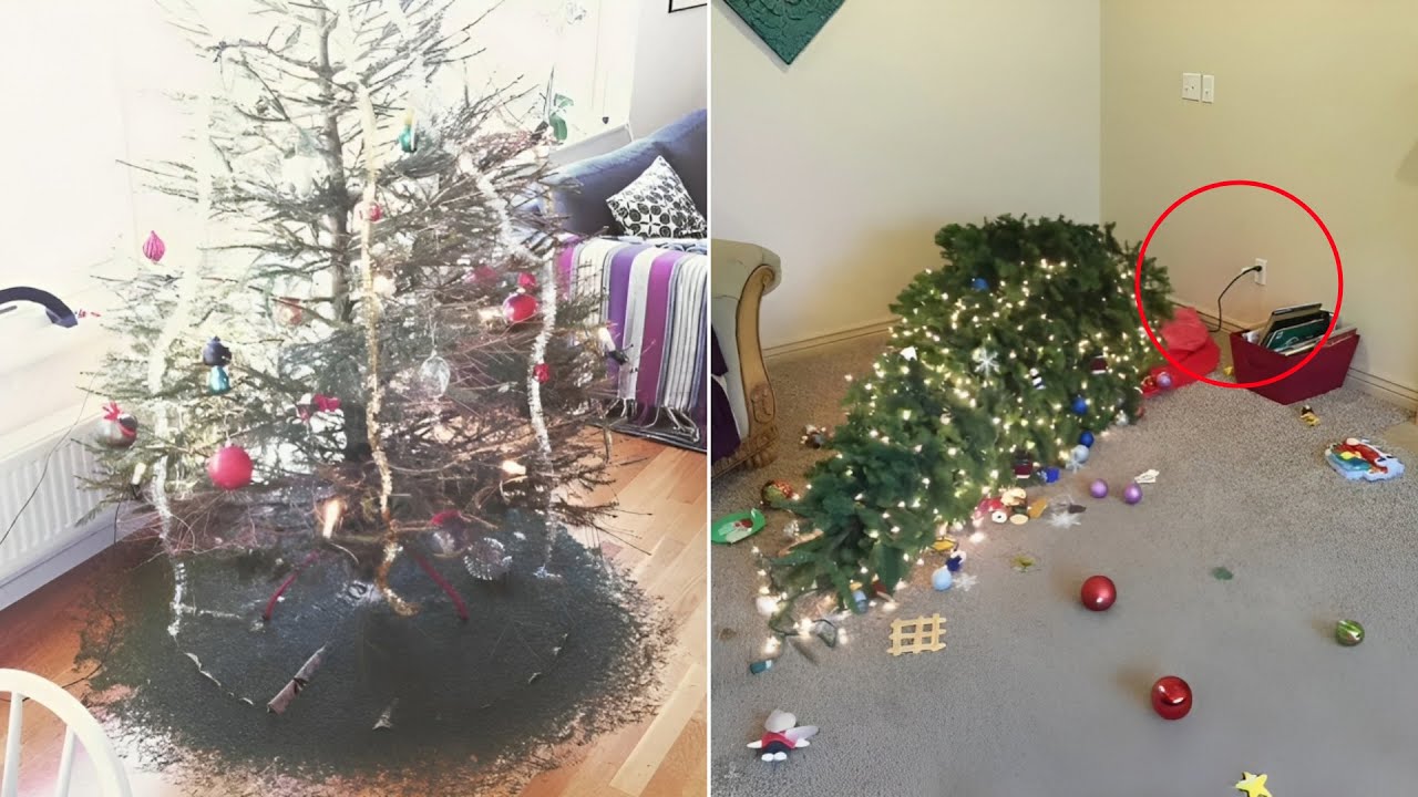 10 Hilarious Christmas Tree Fails This Year Youtube