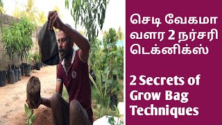 செடி வேகமாக வளர 2 டெக்னிக்ஸ் | 2 Secret of Grow Bag Techniques to Maximize Your Results