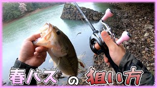 【春バス】今は狙うべきは三種類の魚【ニシネナマズ】