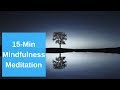 15 Minute Mindfulness Meditation (Guided Meditation for Relaxation and Insight)