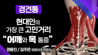 헷갈리는 목, 어깨 통증 '경견통' / 현대인의 가장 큰 고민거리인 어깨와 목 통증 / 통증과 마비로 인한 두려움 / 211011 메디컬다큐365