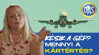 Járattörlés? KÉSÉS? Legyél kemény! (DAS: Jogodban áll tudni! - S02E02)