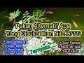 Pakan alternatif budidaya ikan nila.🐟 mana yang paling di sukai ???💢@vara2377 Channel