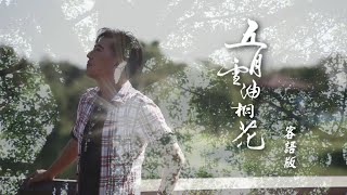 五月雪油桐花(客語版) Offical MV (2022 New)