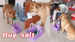 Da Huang is so heartwarming, helping the hostess who cooks buy salt