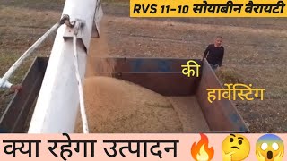 RVS 11-10 सोयाबीन वैरायटी की हार्वेस्टिंग। देखे क्या रहा उत्पादन।#soyabean #harvesting #farming 🤔🔥