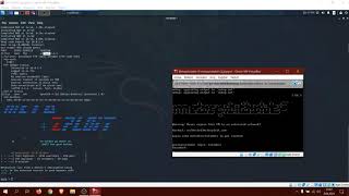 METASPLOITABLE 21/TCP VSFTPD 2.3.4 EXPLOIT GUIDE