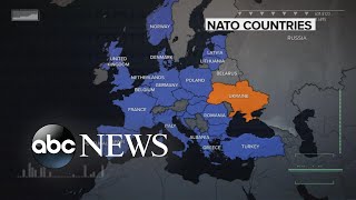 Leaders of some NATO member countries back membership for Ukraine