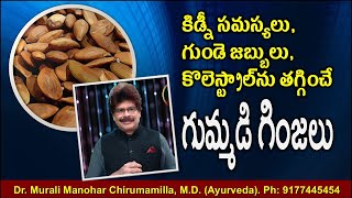 కిడ్నీ సమస్యలు, గుండె జబ్బులు, కొలెస్ట్రాల్‌ను తగ్గించే గుమ్మడి గింజలు. Pumpkin Seeds Medicinal Uses