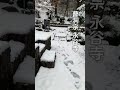 真冬の境内に最強生命体が… 【閲覧注意⚠️】 永谷寺 寄生虫 雪国 真冬 寺