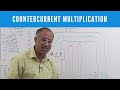 Urine Concentration and Dilution | Countercurrent Multiplication