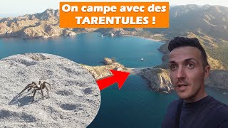 La plage PARFAITE ! Mais attention aux TARENTULES ! (Agua Verde) | EP36