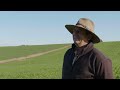 Luximax Grower Experience - Brett Ryan, Barry NSW