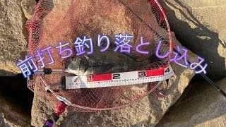 前打ち落とし込み釣り