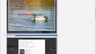 Children Shortcode Plugin Video Tutorial
