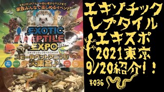 エキゾチックレプタイルエキスポ東京2021_EXOTIC REPTILE EXPO TOKYO_#036