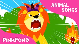 The Lion | Animal Songs | PINKFONG Songs for Children