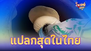 รายการ ทางสายกิน EP.1 | โรตีโอ่ง-เคบับ แป้งสูตรพิเศษ สดใหม่ อร่อยคุ้มเกินราคา  | ทางสายกิน