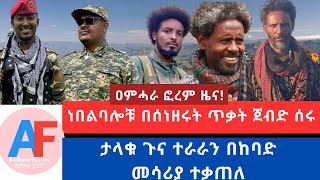 ነበልባሎቹ በሰነዘሩት ጥቃት ጀብድ ሰሩ// ታላቁን ጉና ተራራን በከባድ መሳሪያ ተቃጠለ