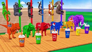 Wild Animals Game Choose The Right Drink Challenge with Cow Mammoth Elephant Gorilla Tiger Dinosaurs