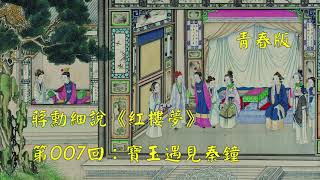 蒋勋细说红楼梦第007回：宝玉遇见秦钟（青春版 | 共120回）