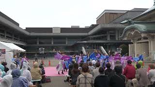 [4K公式] 東京花火「千斗星」/京都さくらよさこい