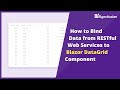 Effortlessly Connect RESTful Services to Blazor DataGrid