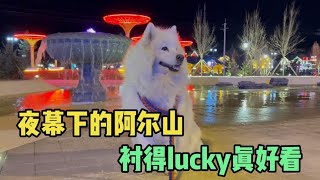 夜幕下的阿尔山，灯火阑珊、流光溢彩，把lucky都给惊艳了【KO的旅行日记】