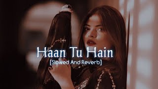 Haan Tu Hain [Slowed And Reverb] KK || Pritam Chakraborty || Music Lover || Lofi 02