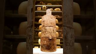 800 Year Old Cheddar Cheese History! #wineculture #agriturismo #winelovers