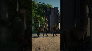 Gallimimus Max Egg Animation