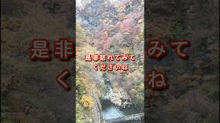 群馬県安中市にあります碓氷湖で紅葉の絶景を見てきた😭