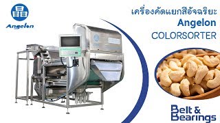 เครื่องคัดแยกสี ยิงสีอัจฉริยะ ANGELON COLOR SORTER (คัดแยกเม็ดมะม่วงหิมพานต์)