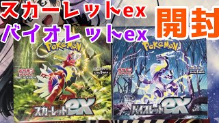 [ポケカ]スカーレットexとバイオレットexを一気に1BOXずつ開ける！