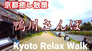 Kyoto relax walk /Kamo- river walk! /鴨川さんぽ/September 18 2022